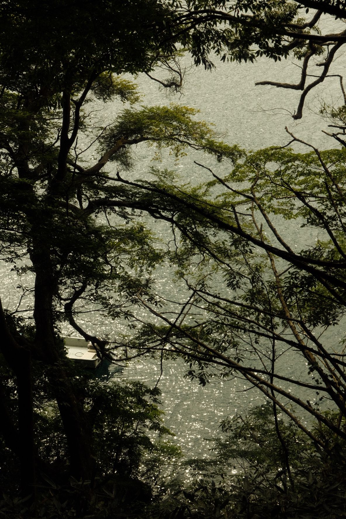 Lake Ashi