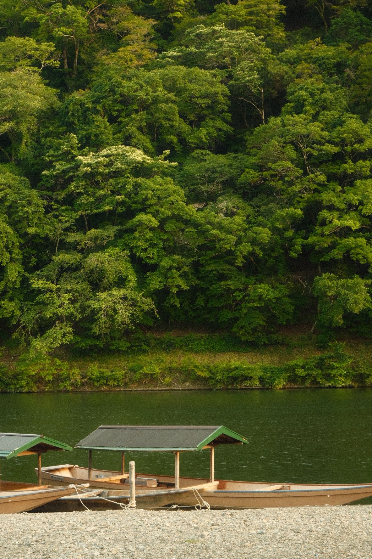 Arashiyama
