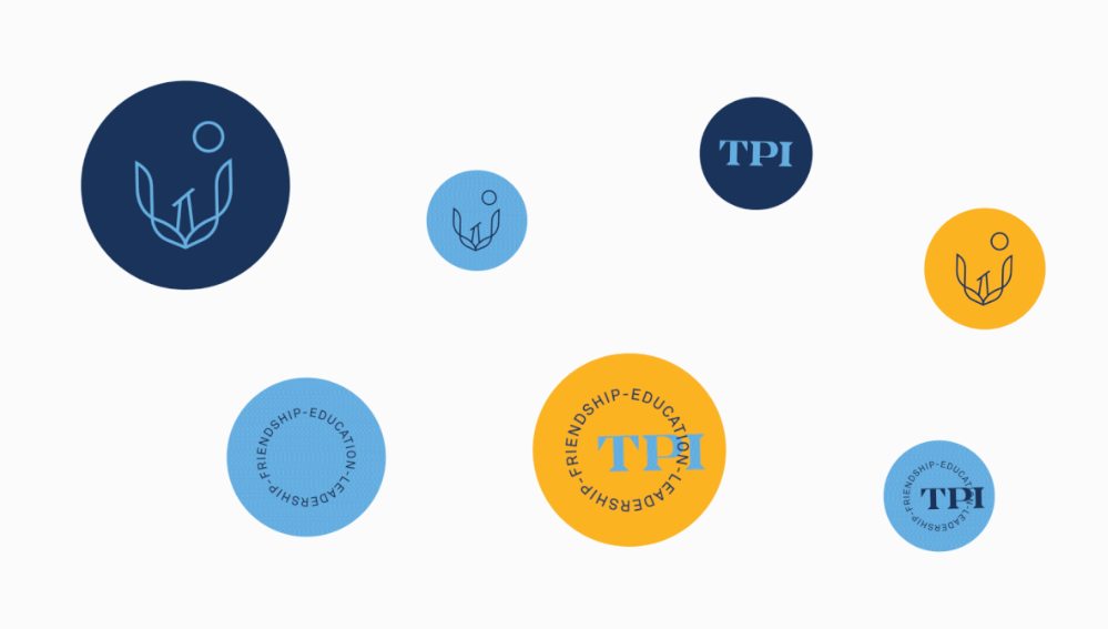 The Phoenix Institute: imagen 6 de la identidad