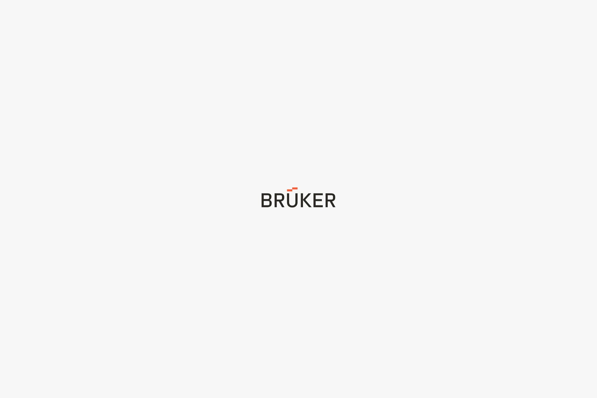 Bruker: identity image 1