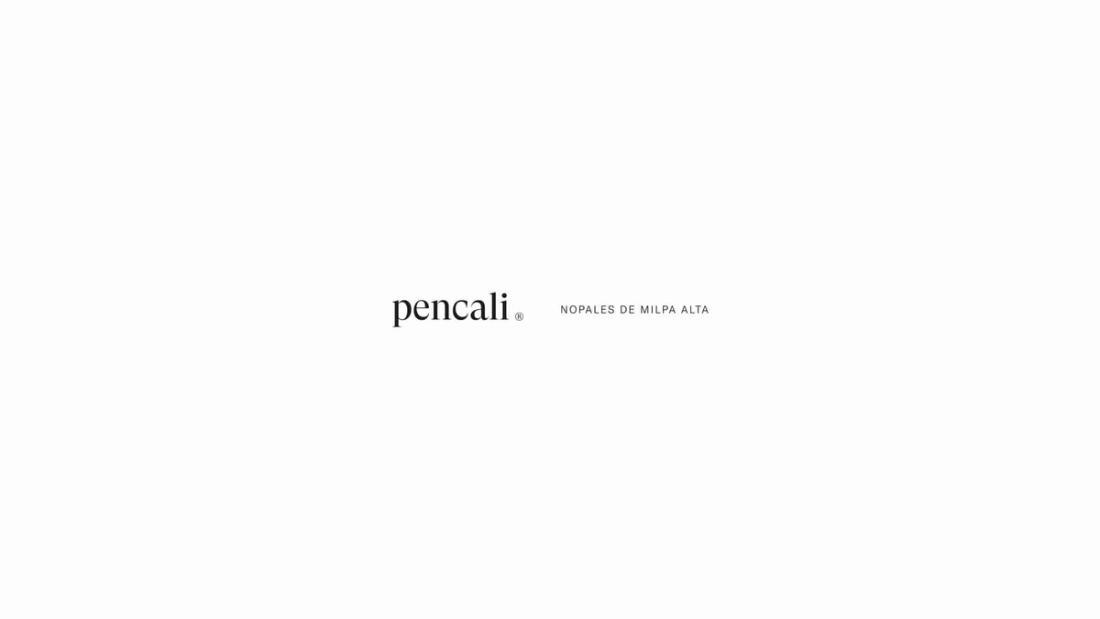 Pencali: imagen 2 de la identidad