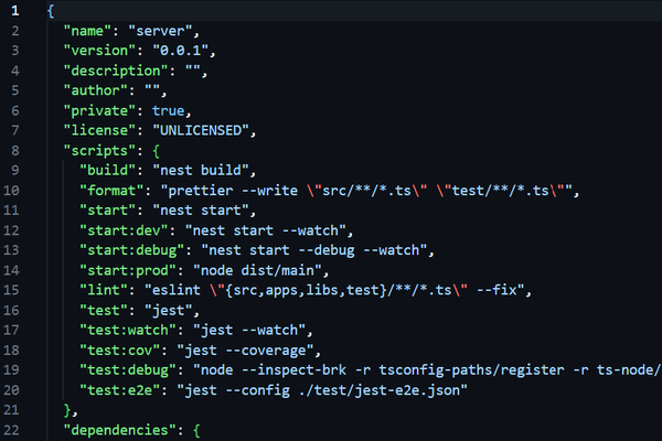 NestJS package.json scripts