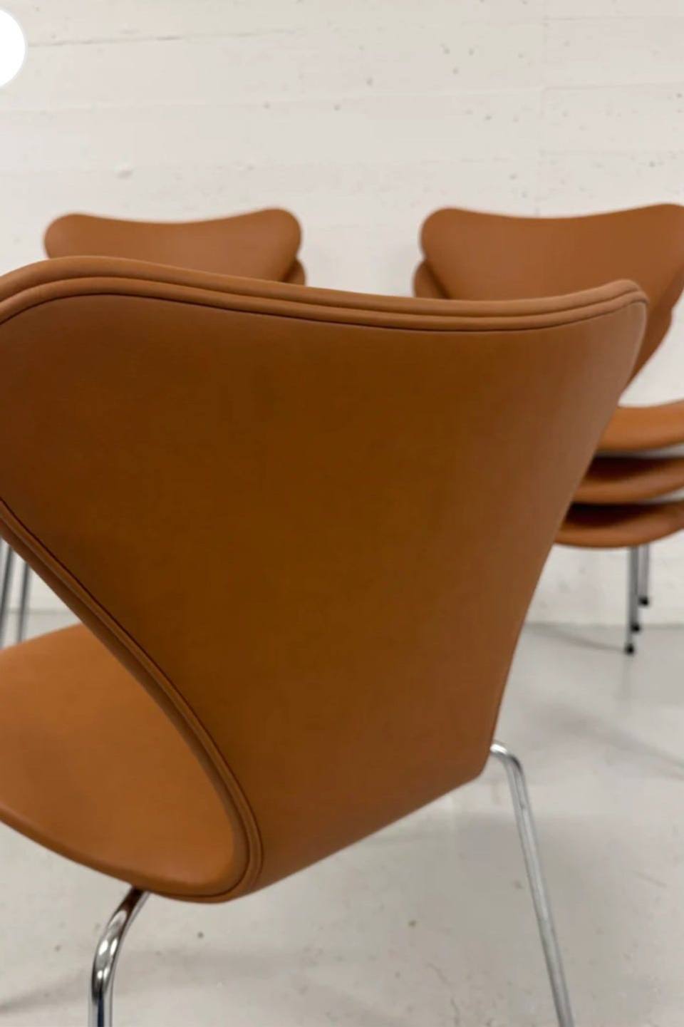 Syveren 3107, nypolstret i tofarget semianilinskinn i cognac – bilde 1