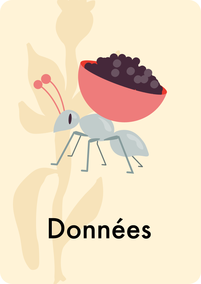 Données