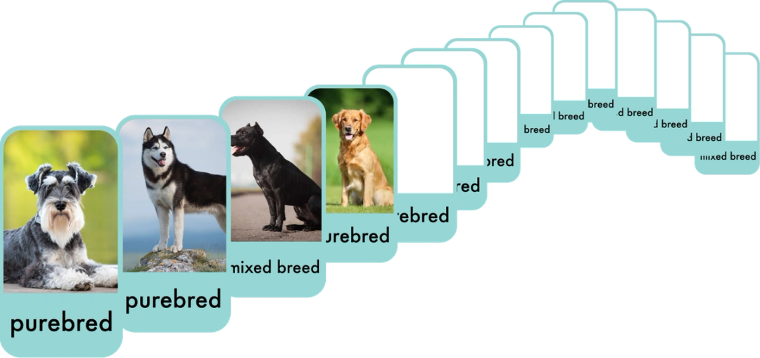 Defining Core Concepts | AI for All: Essentials for Educators