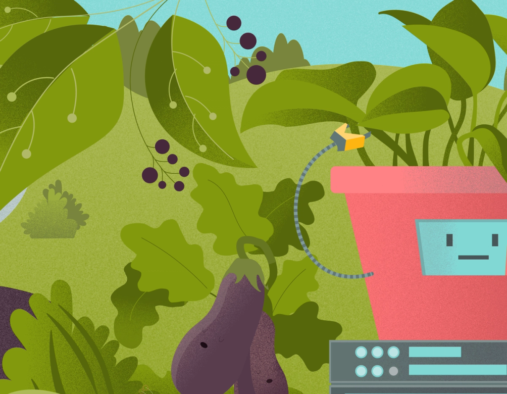 An illustrated garden: a smiling aubergine and berry-laden branches grow around a screen-faced planter standing on server racks.