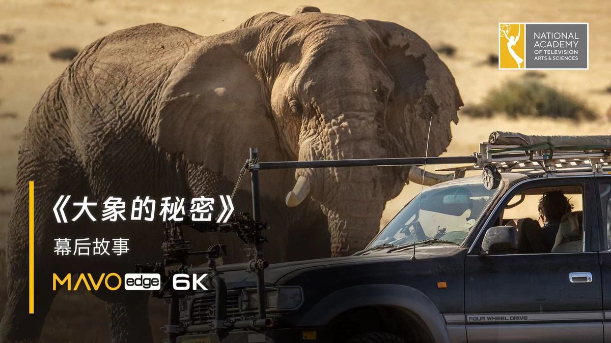 Interview with DP Toby Strong of "Secrets of the Elephants"