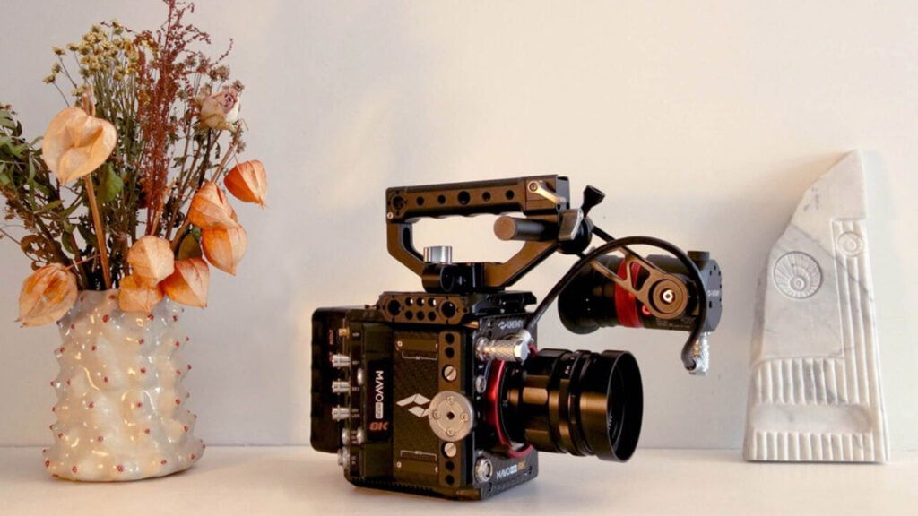 Filmmaker Insight