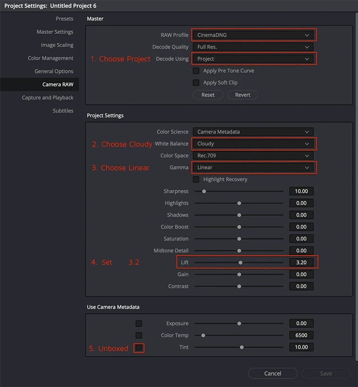 Uncompressed RAW Davinci Setting