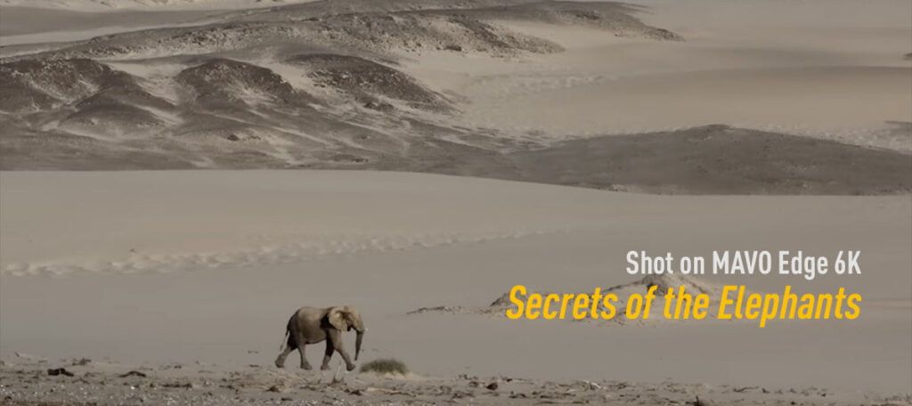 Filmmaker Insight