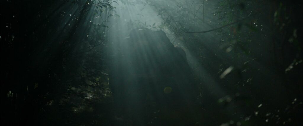 Filmmaker Insight