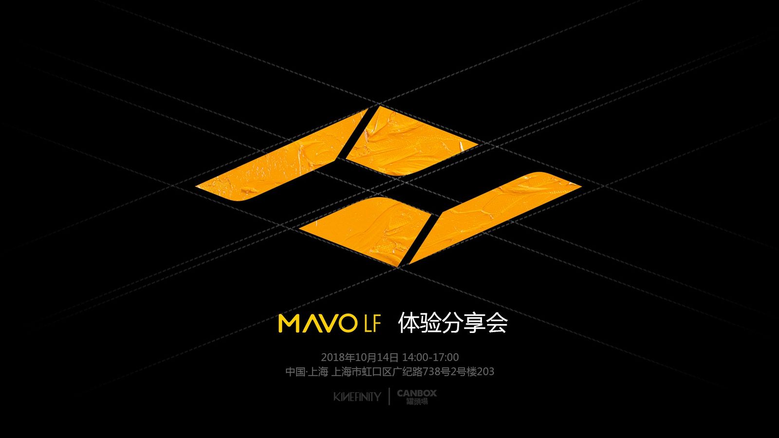 2018年 MAVO LF体验分享会@上海