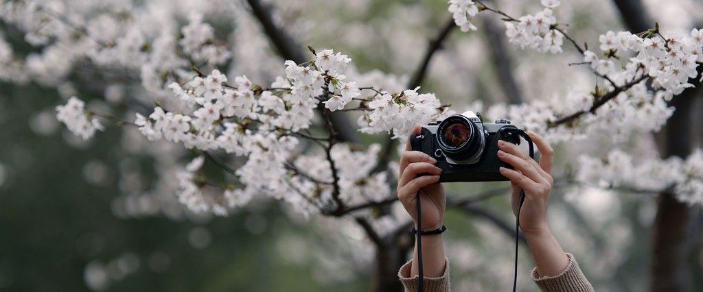 Filmmaker Insight