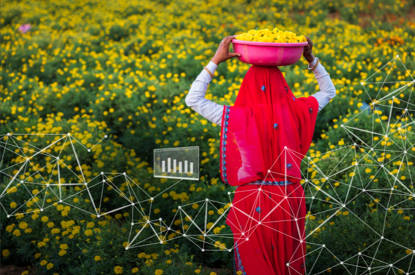 Woman in red working in a field picking up yellow flowers