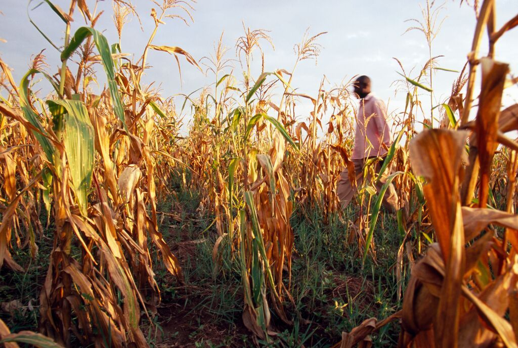 The heat signal most supply chain programmes can't see