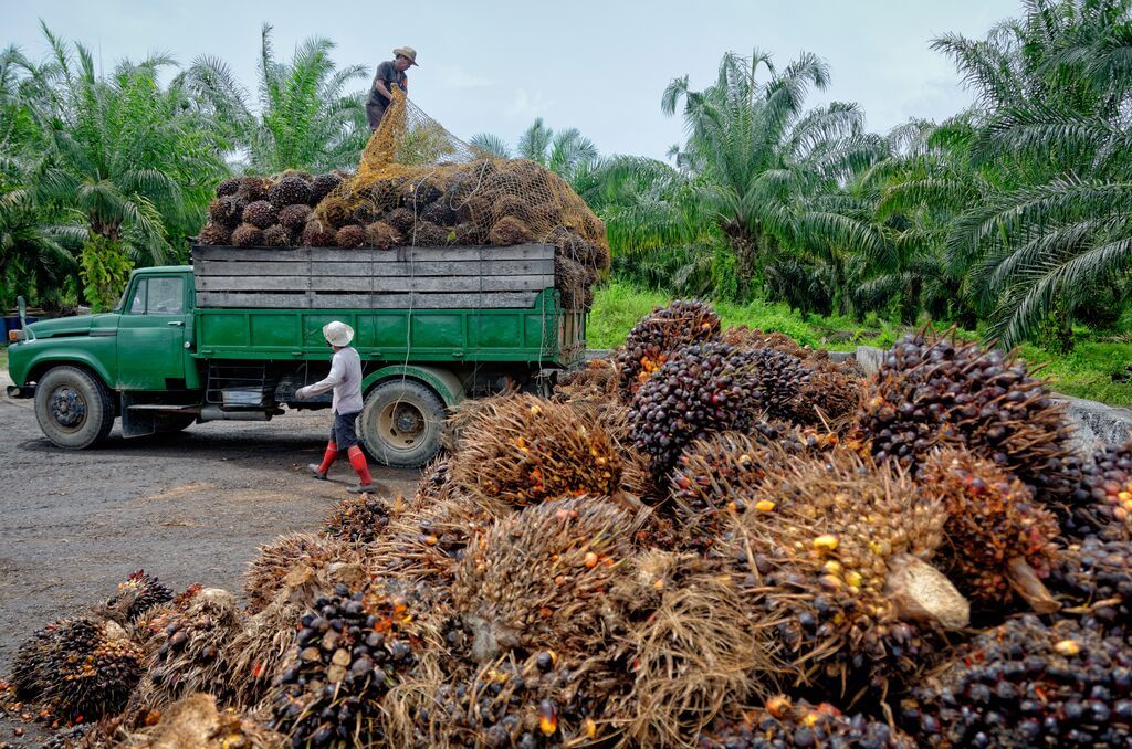 Forced labour, modern slavery and the limits of disclosure