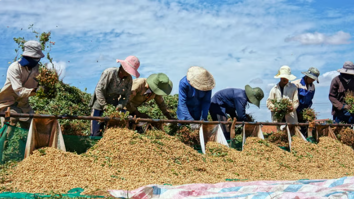 Addressing forced labour risks: what WROs reveal about supply chain blind spots