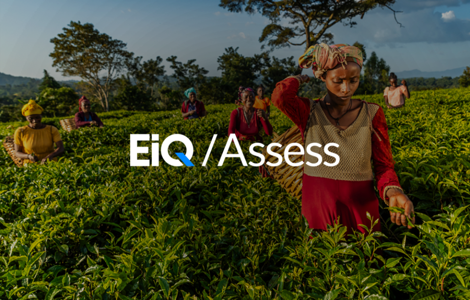 EiQ Assess login image