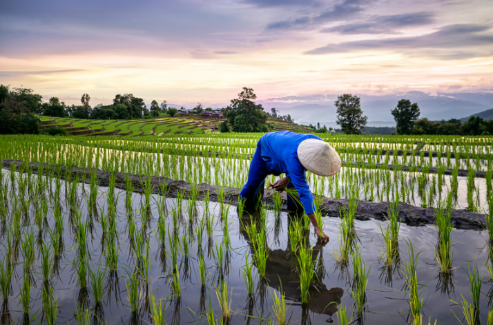 EiQ partners with AIM-Progress to enhance supply chain transparency for businesses