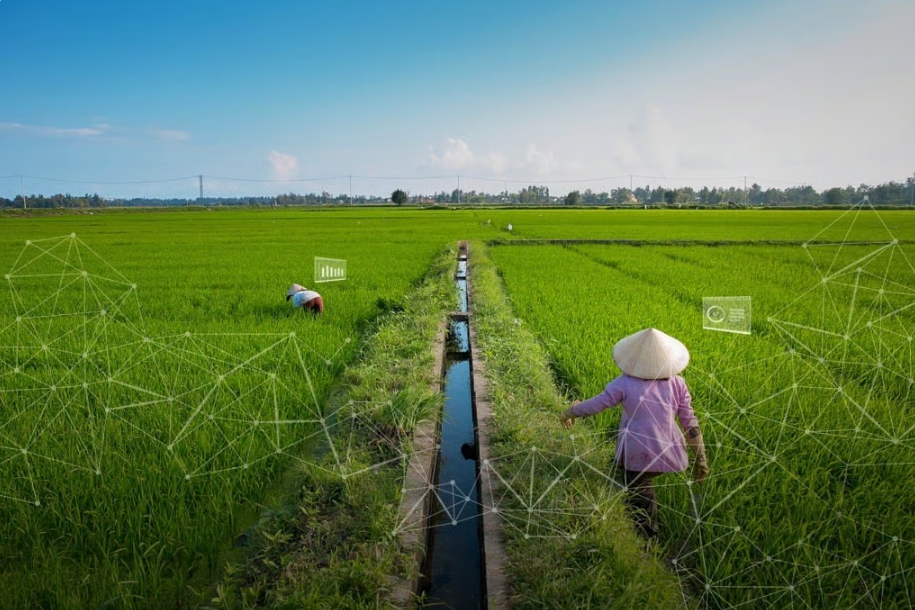 Supply chain esg risk outlook 2025