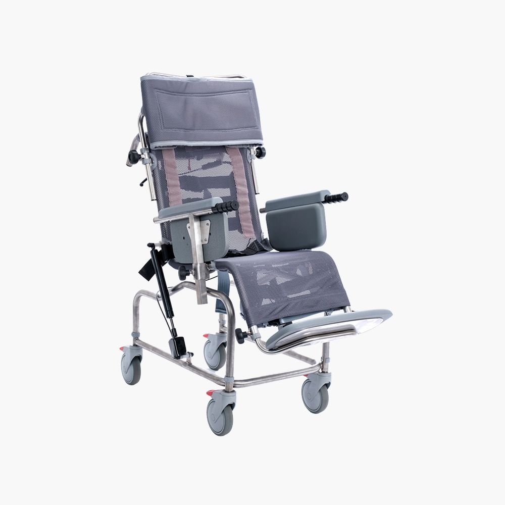 Infant Tilt-in-Space Shower Cradle