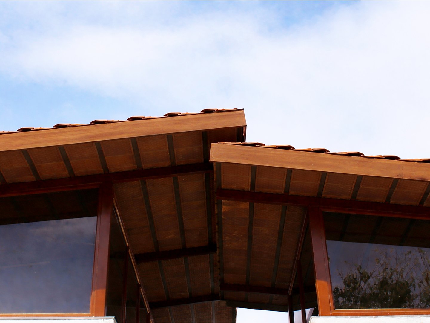 Project view