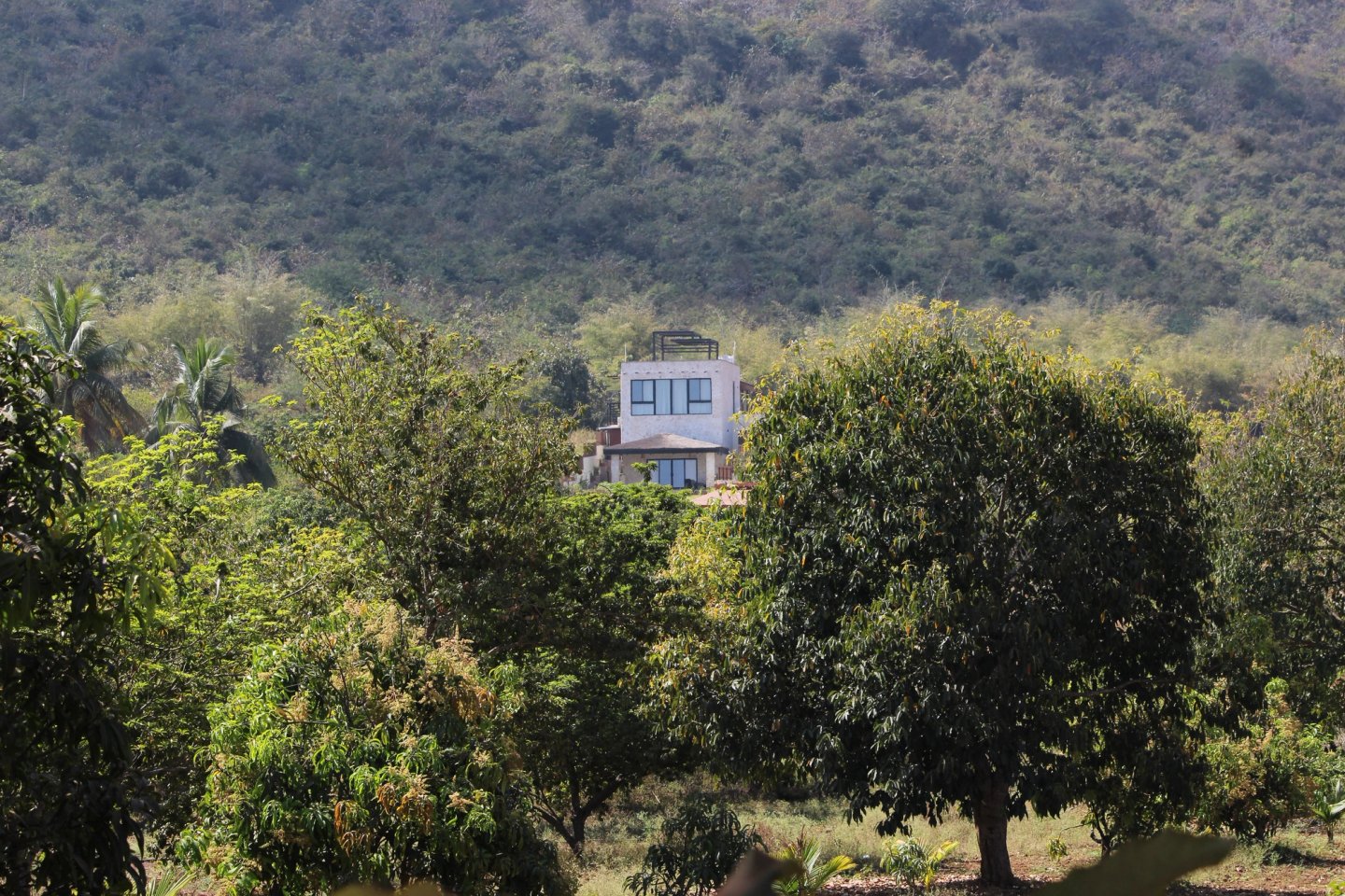 Project view