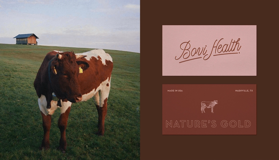 Bovi Health gallery image 1