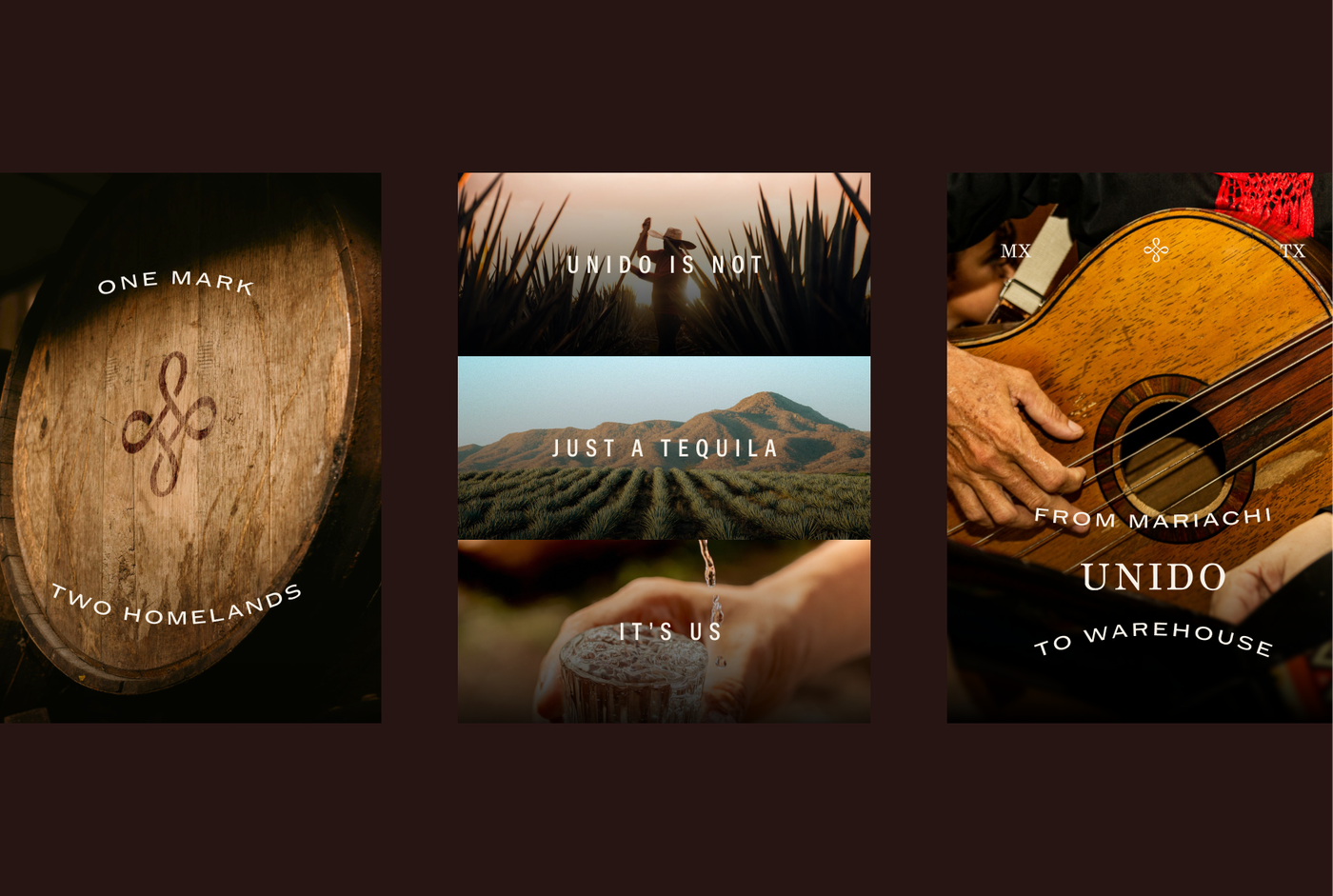Tequila Unido project image 7