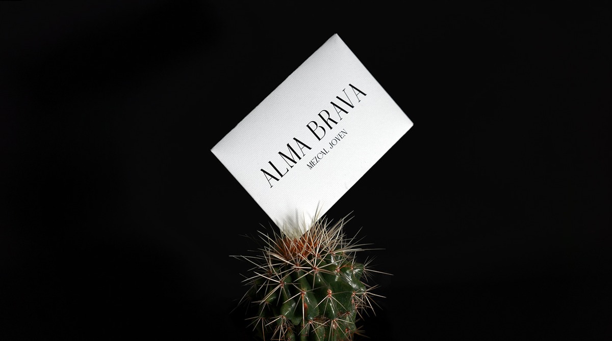 Alma Brava project image 4