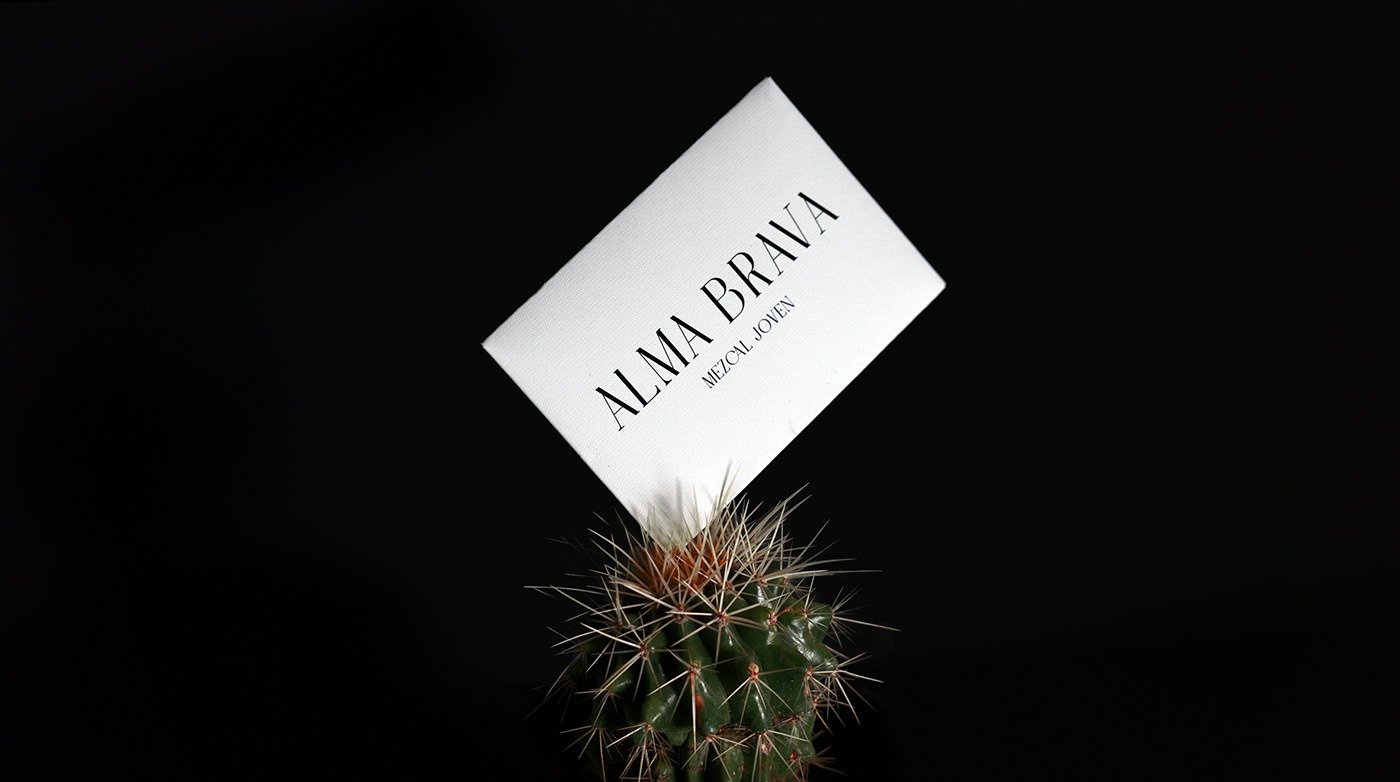 Alma Brava project image 5