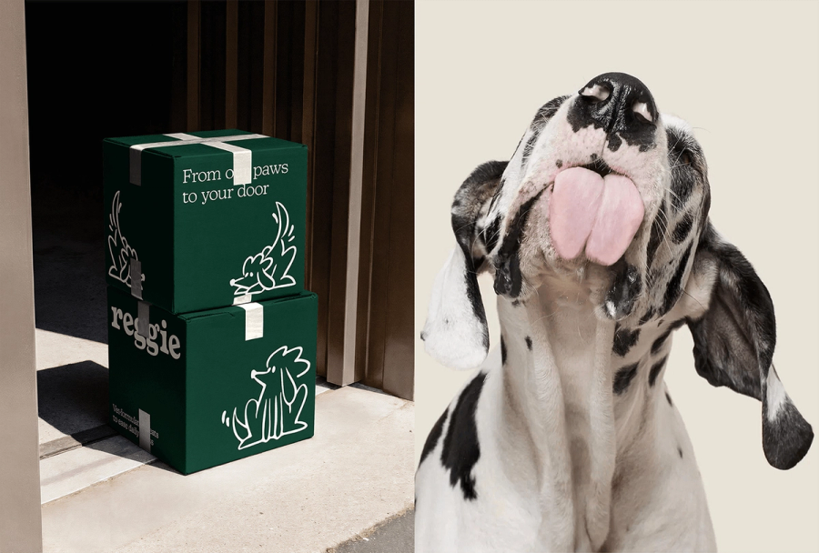 Reggie gallery image