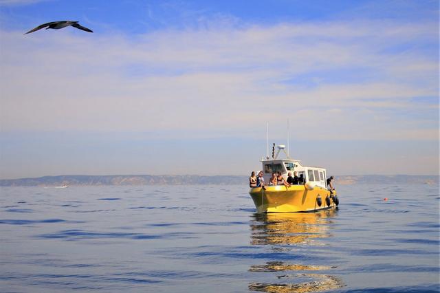Le bateau Jaune Marseille