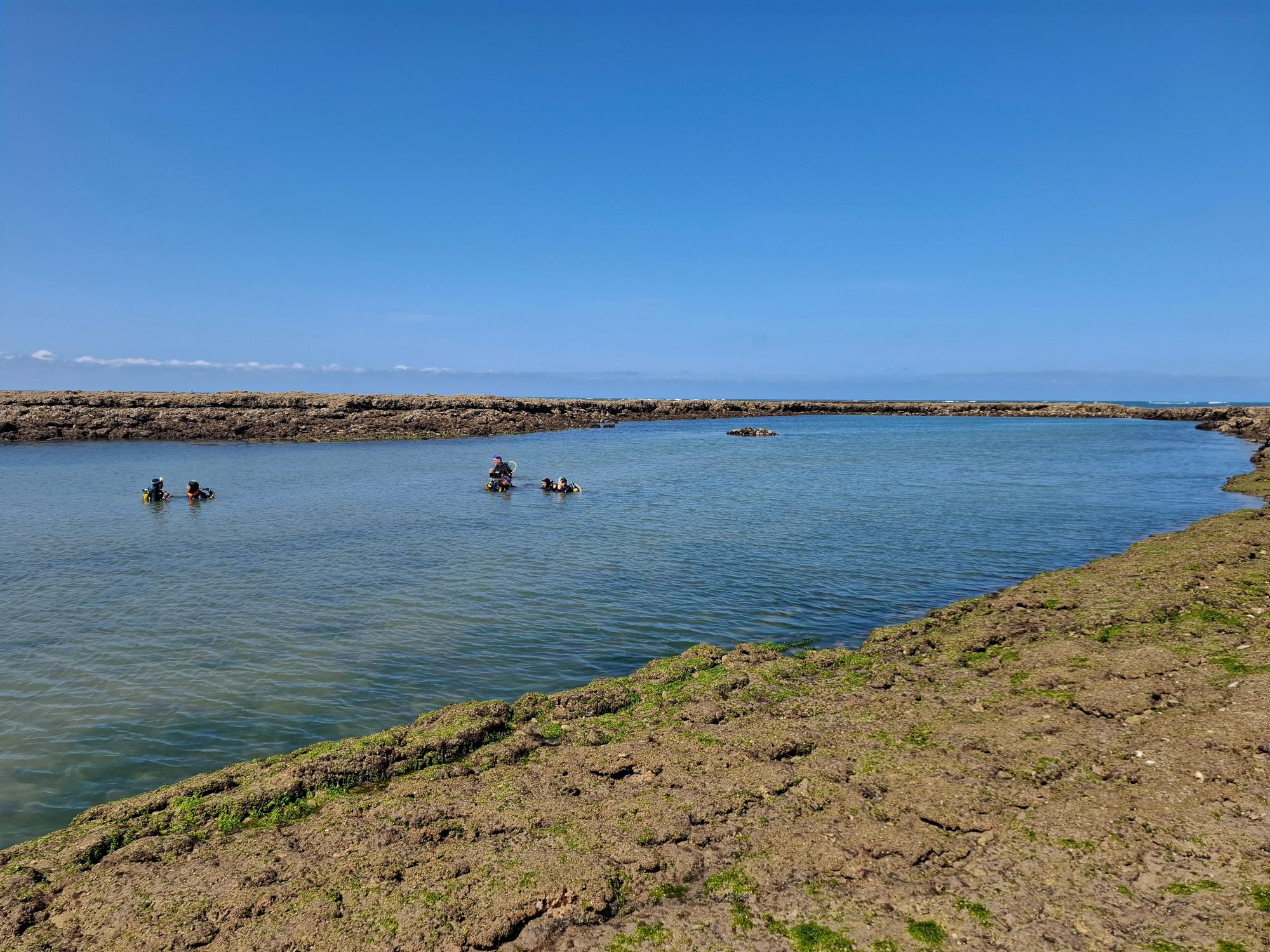Site de plongee riche en biodiversite