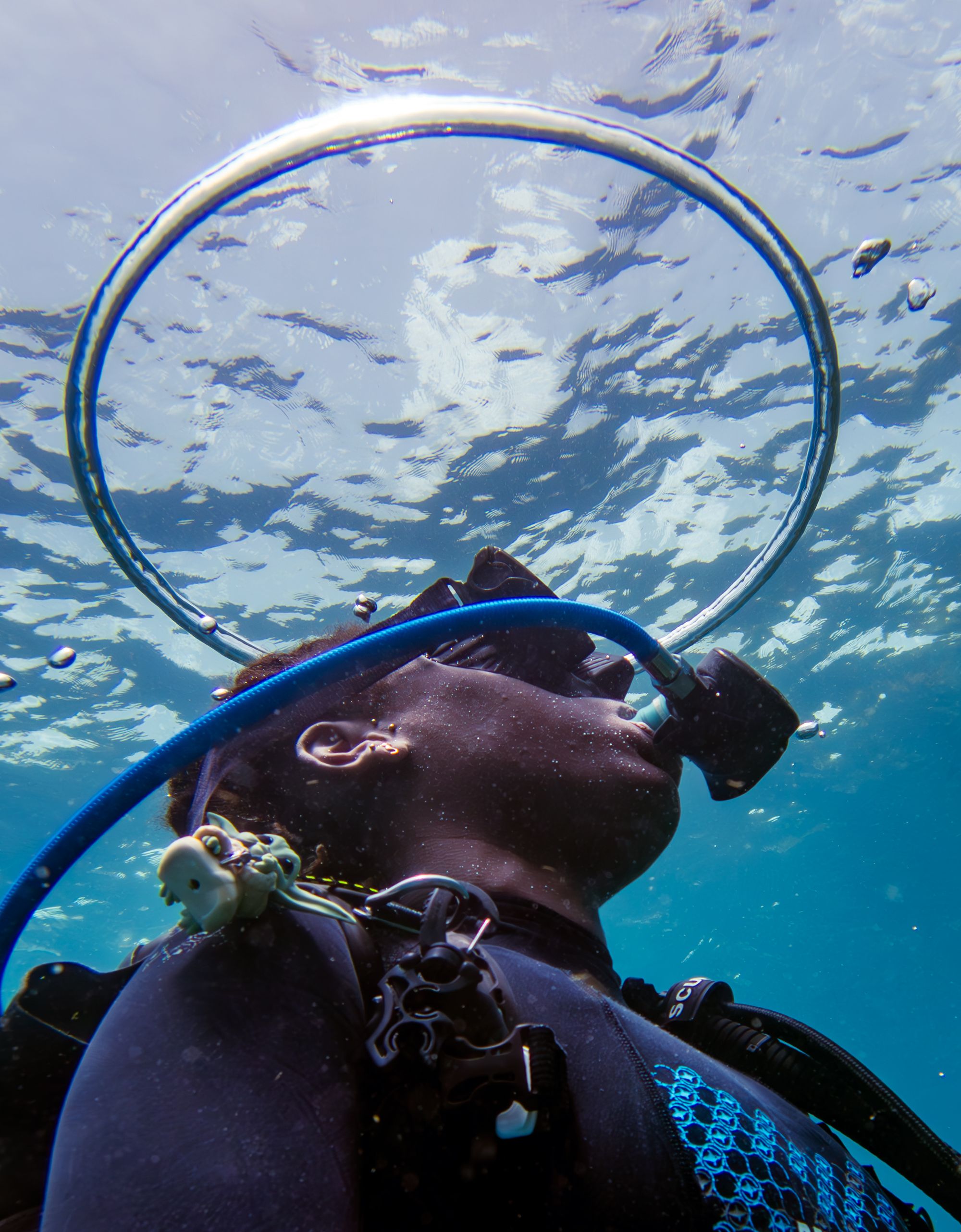 ABC DIVE sous l'eau