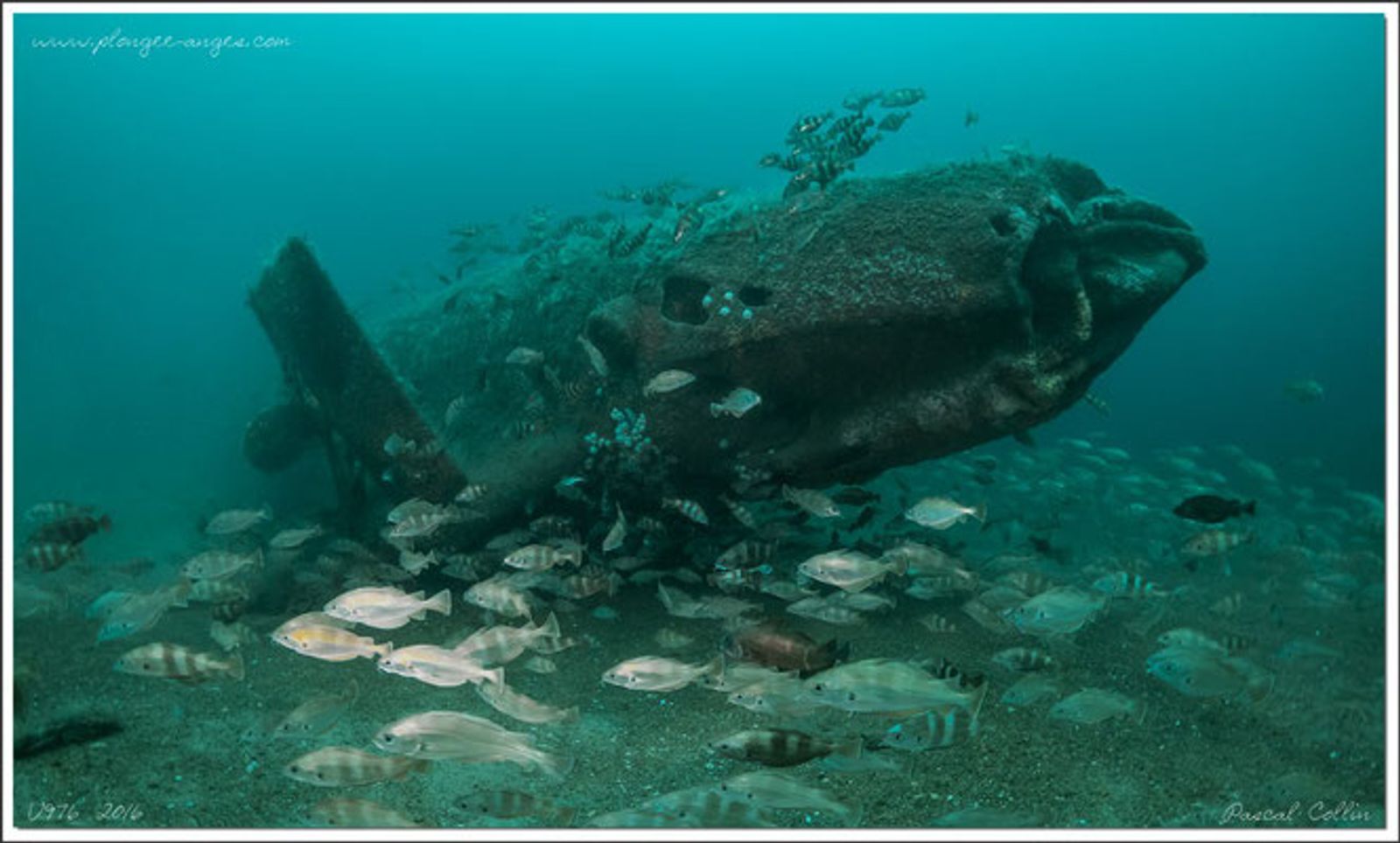 Plongée épave La Bulle D'Her