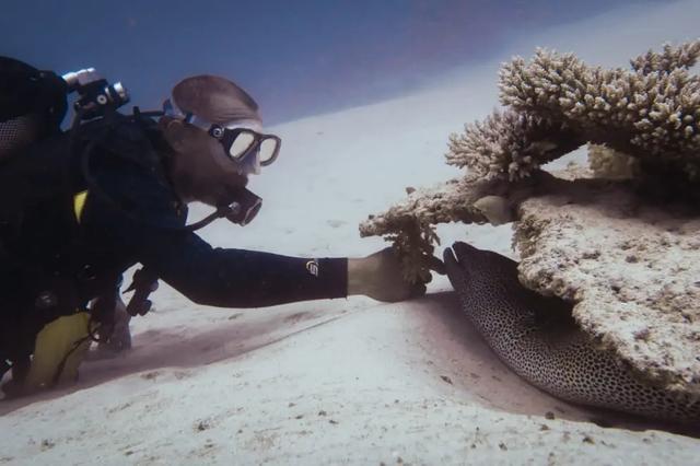 Olivier, en promenade près des récifs de la passe en S