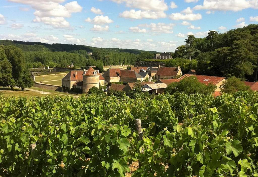 Vineyard overlooking the buildings and round tower of the Valmer estate