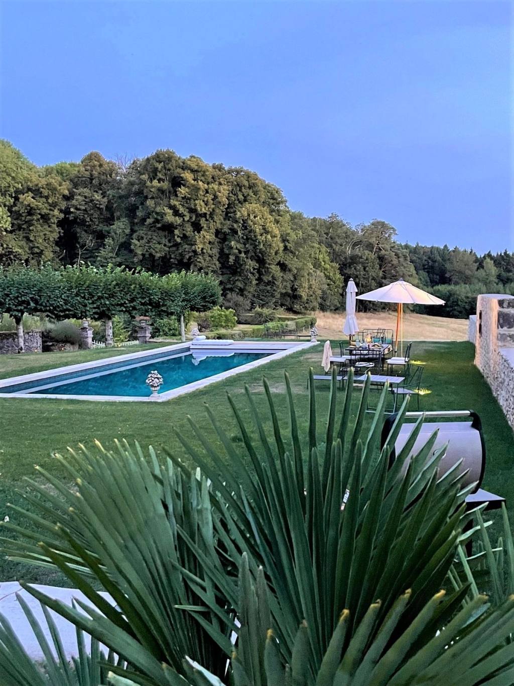 La piscine sur la pelouse au crépuscule, parasols et transats, un palmier au premier plan