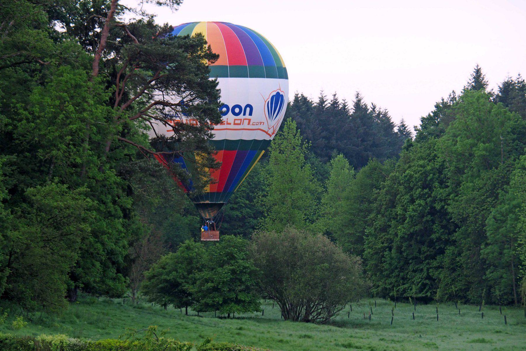 Bunter Heißluftballon steigt über die Bäume des Parks auf