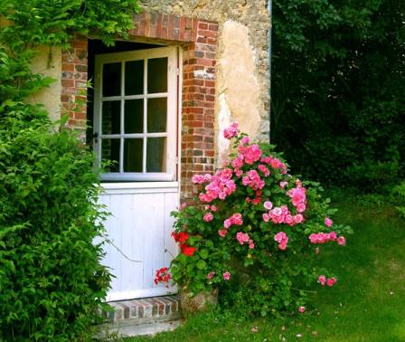 A brick-framed garden door, pink roses climbing beside it