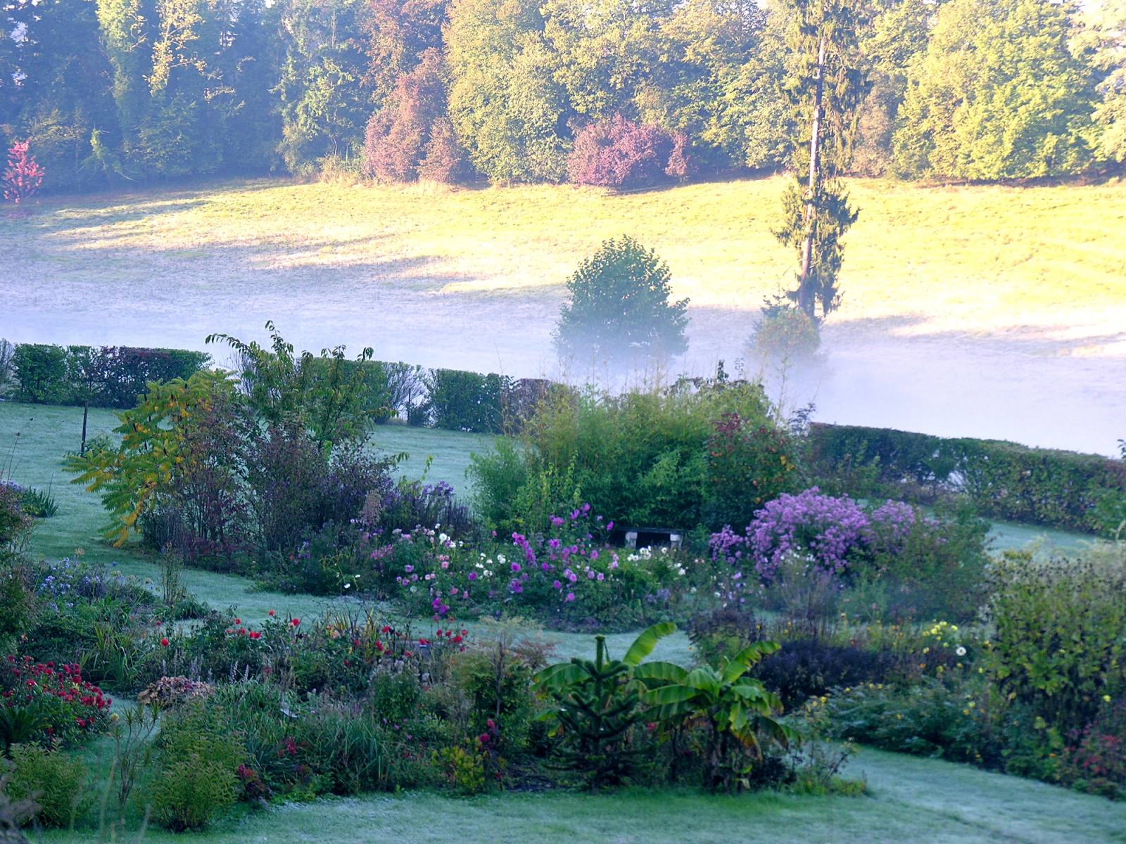 Morning mist over the park and flower borders at dawn