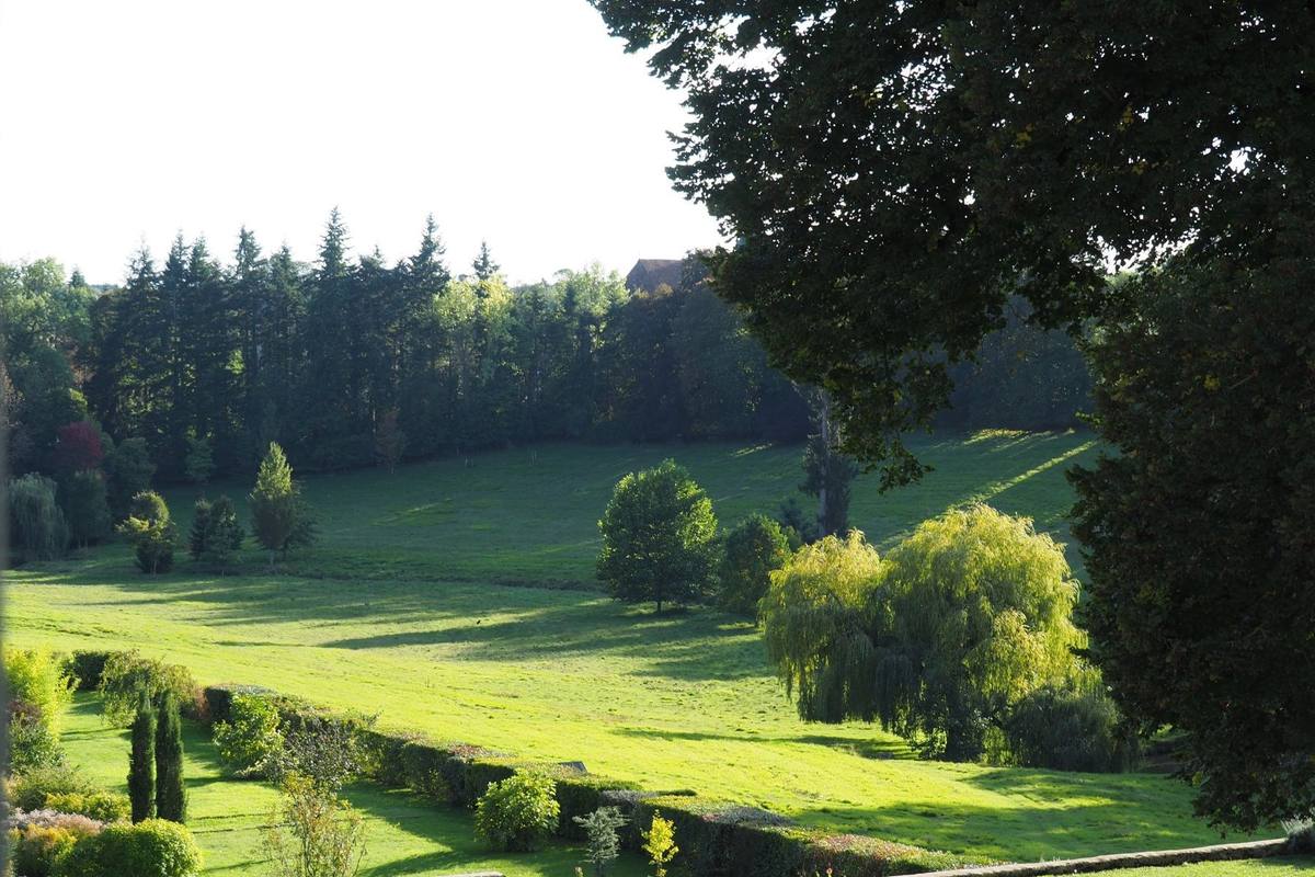 Evening view from the Oiseaux room over the sloping park, weeping willow and conifers