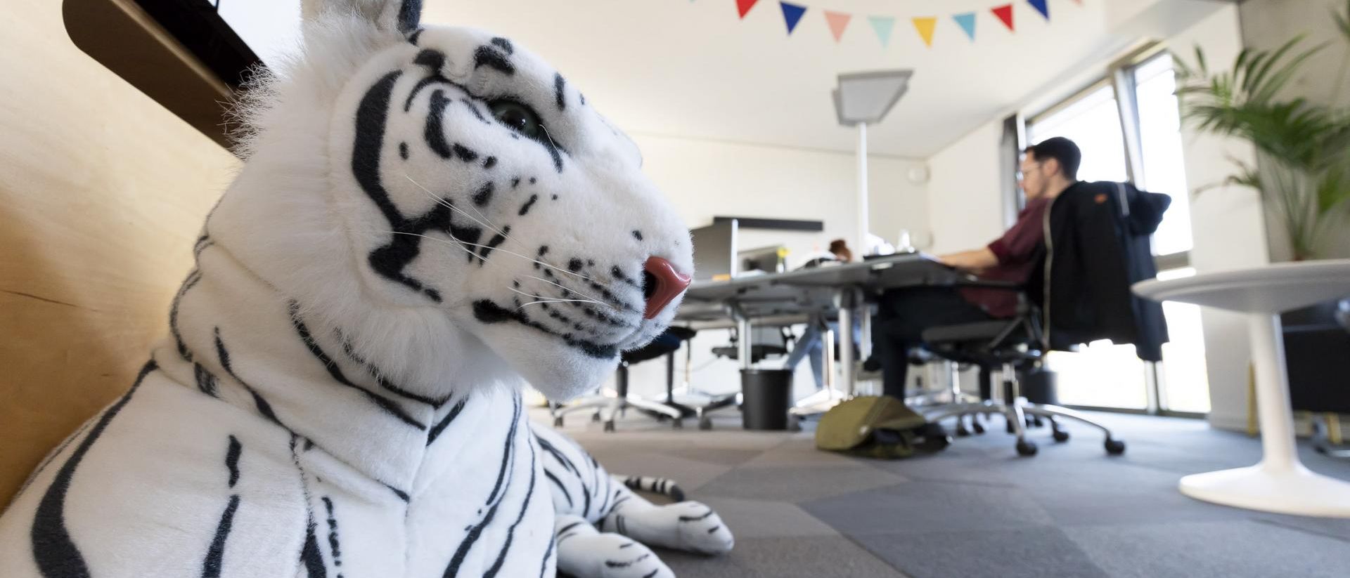 Bild eines Kuscheltier-Tigers im mindmatters-Büro