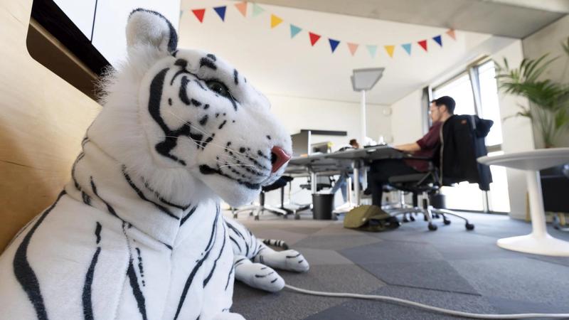 Bild eines Kuscheltier-Tigers im Büro