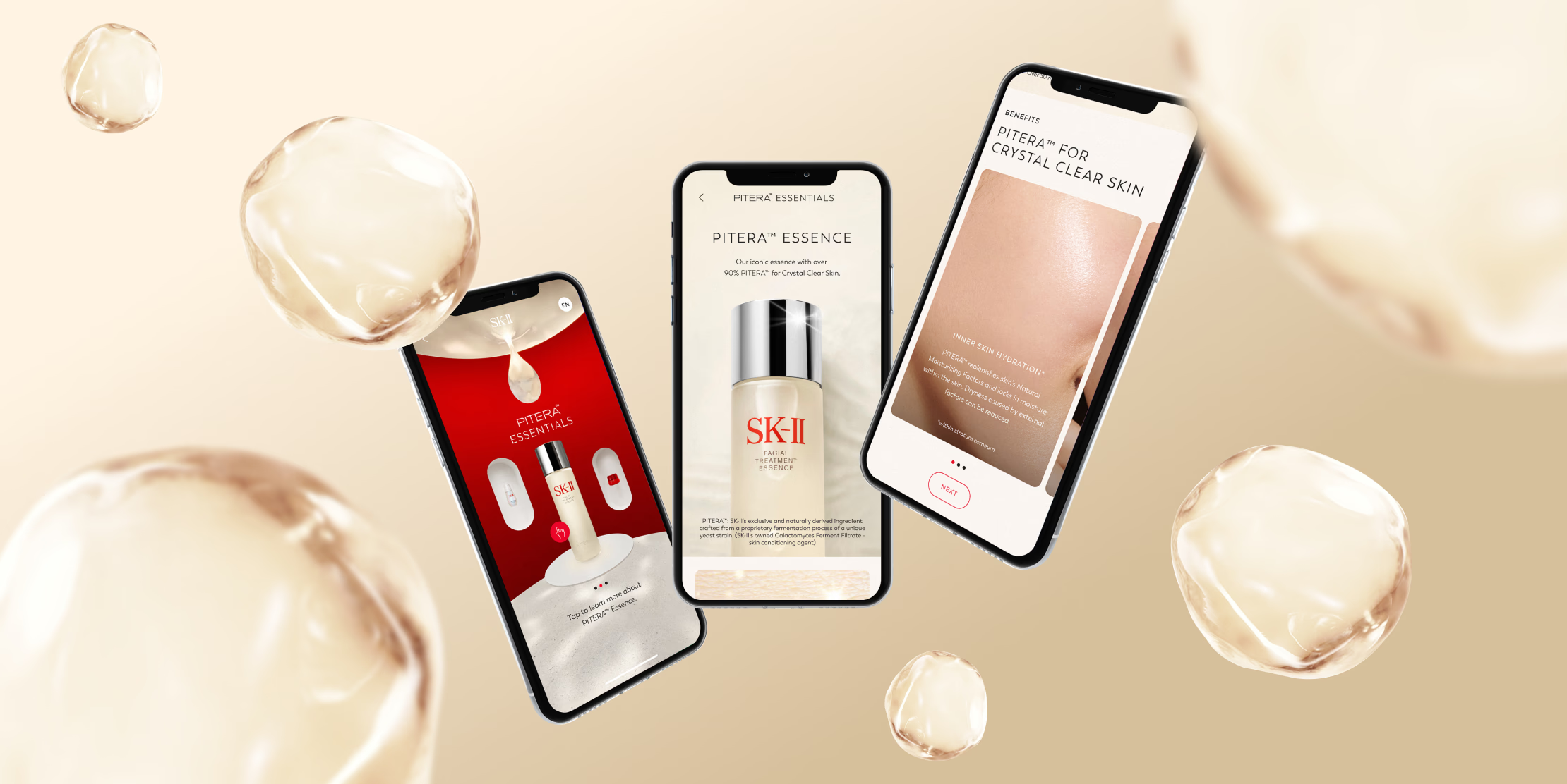 World Pitera Day - Mobile Experience