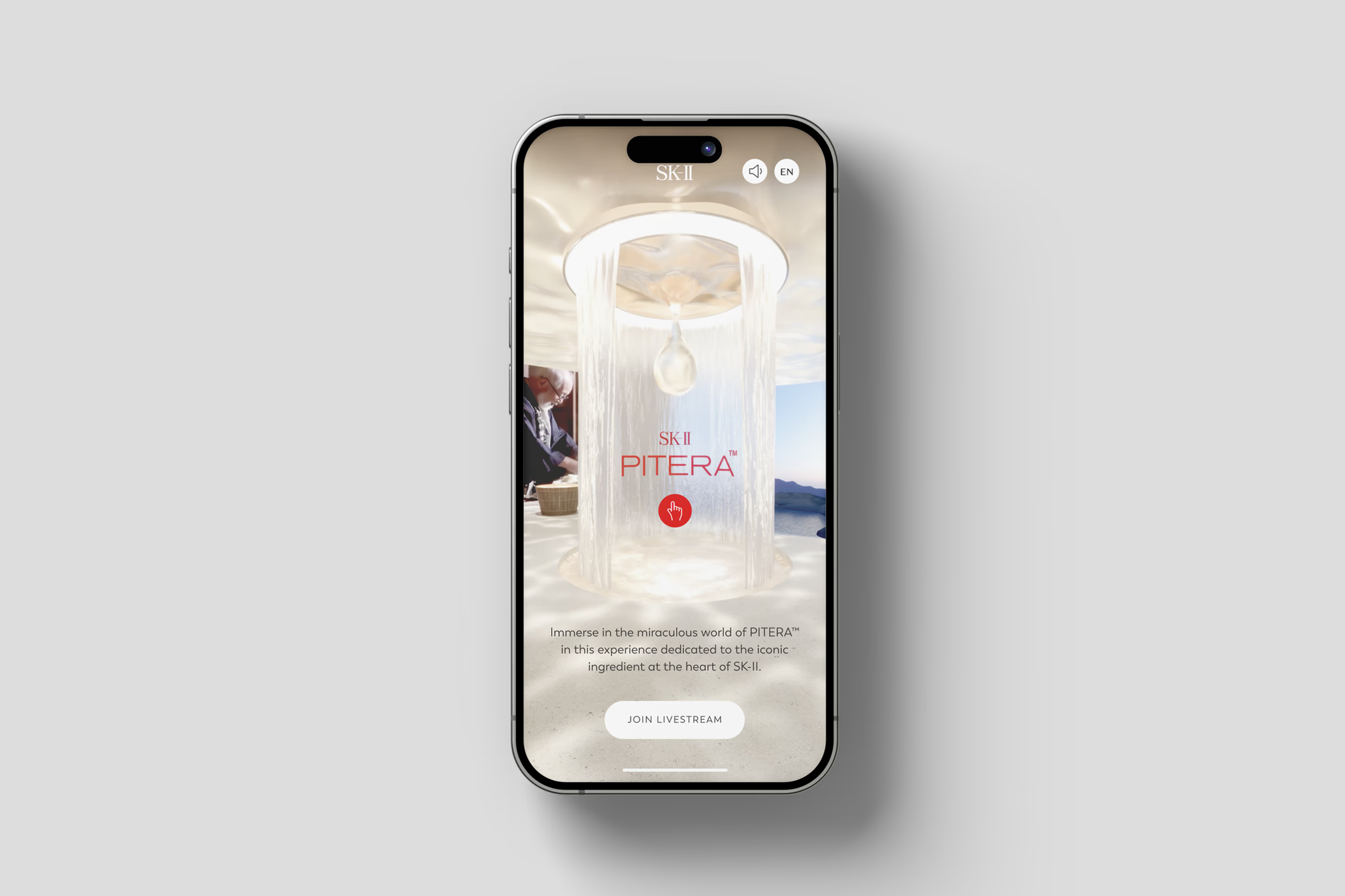 World Pitera Day - Mobile  Experience