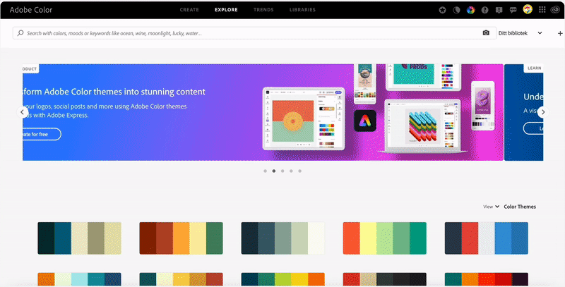 Adobe color website