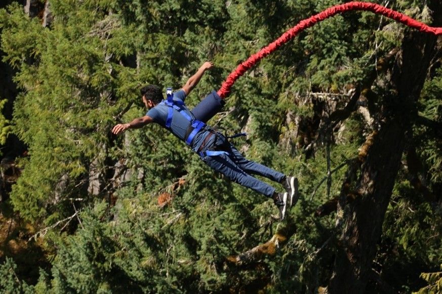 A man bungee jumping over forrest.