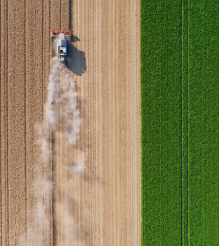 The Rabobank Traineeship​ Journey